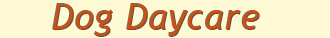 Dog daycare Dog daycare